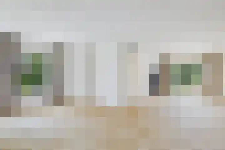 Roompot 25 Terneuzen thumbnail 12