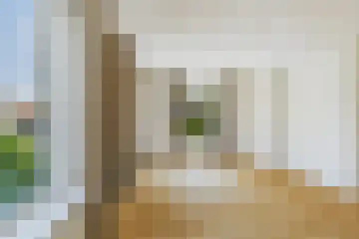 Roompot 25 Terneuzen thumbnail 14