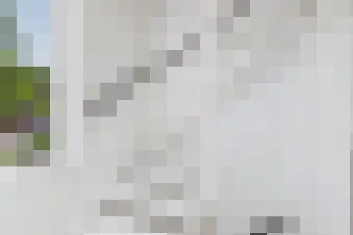Roompot 25 Terneuzen thumbnail 20