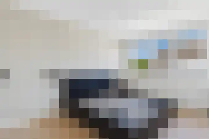 Roompot 25 Terneuzen thumbnail 21