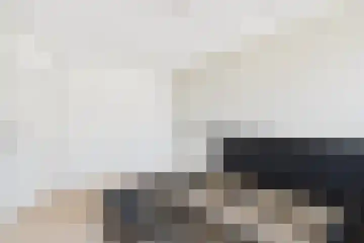 Roompot 25 Terneuzen thumbnail 22