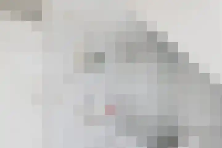 Roompot 25 Terneuzen thumbnail 27
