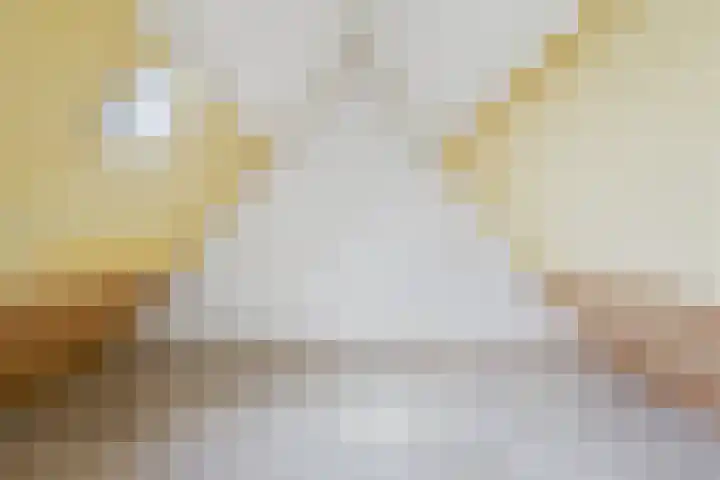 Roompot 25 Terneuzen thumbnail 30