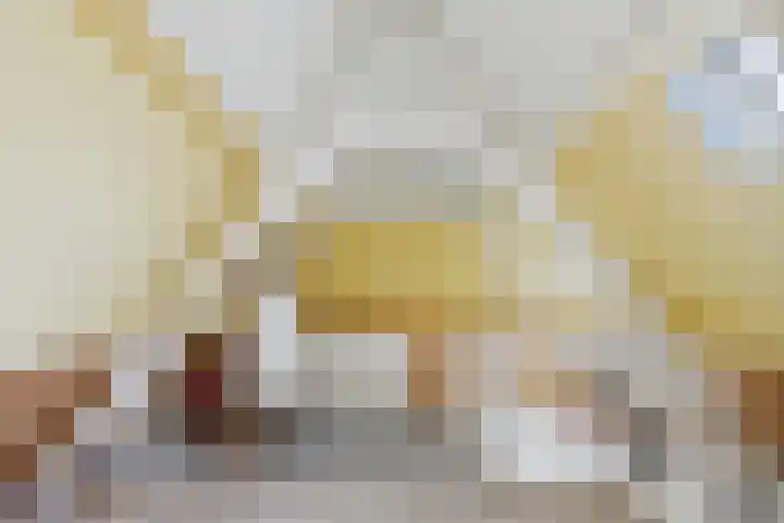 Roompot 25 Terneuzen thumbnail 31