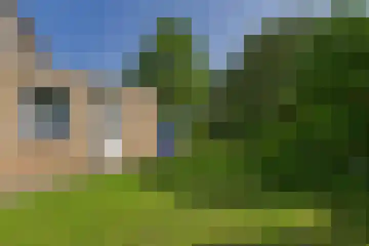 Roompot 25 Terneuzen thumbnail 34