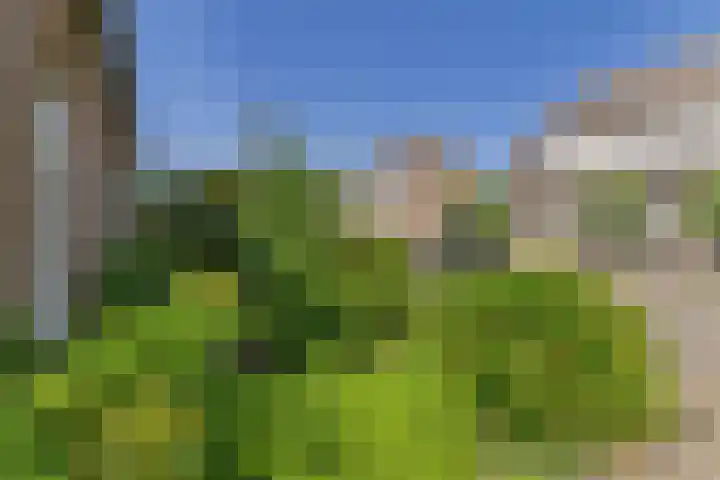 Roompot 25 Terneuzen thumbnail 36