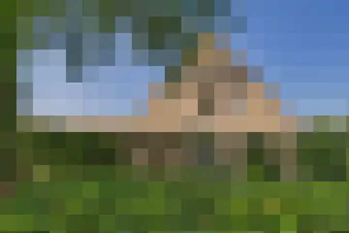 Roompot 25 Terneuzen thumbnail 38
