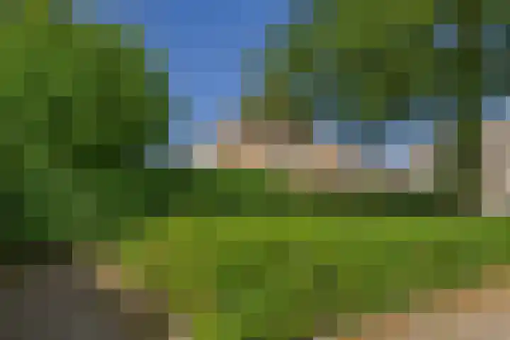 Roompot 25 Terneuzen thumbnail 39