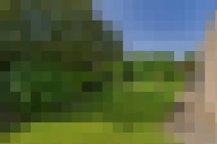Roompot 25 Terneuzen thumbnail 5