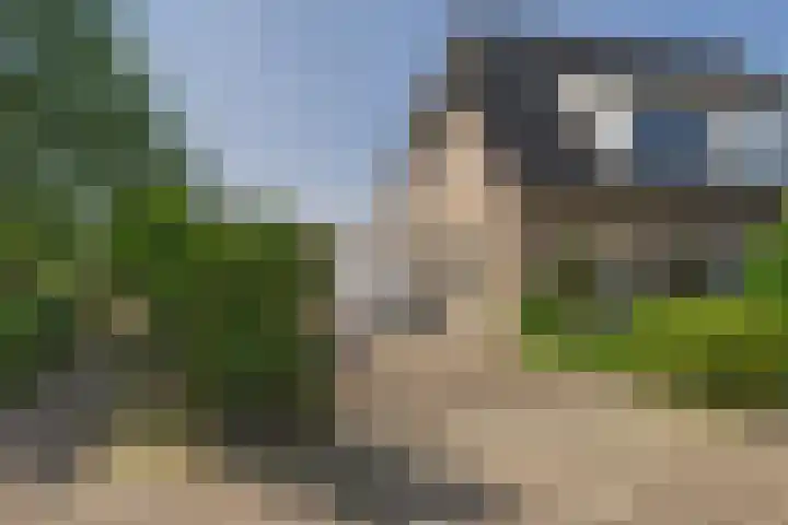 Roompot 25 Terneuzen thumbnail 7