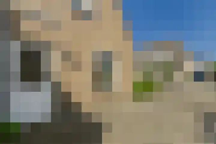 Roompot 25 Terneuzen thumbnail 8
