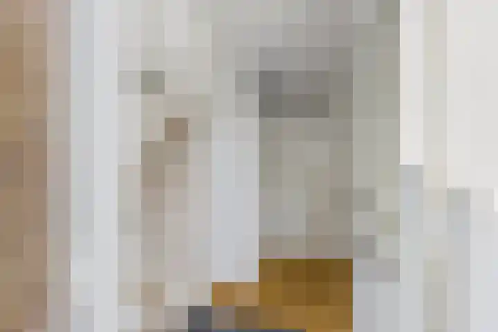 Roompot 25 Terneuzen thumbnail 9