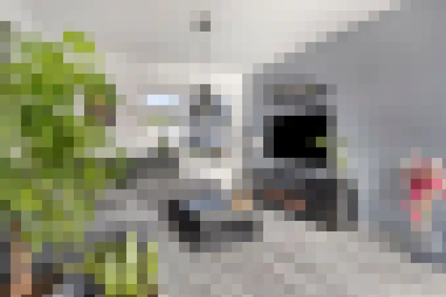 Roompot 31 Hansweert thumbnail 10