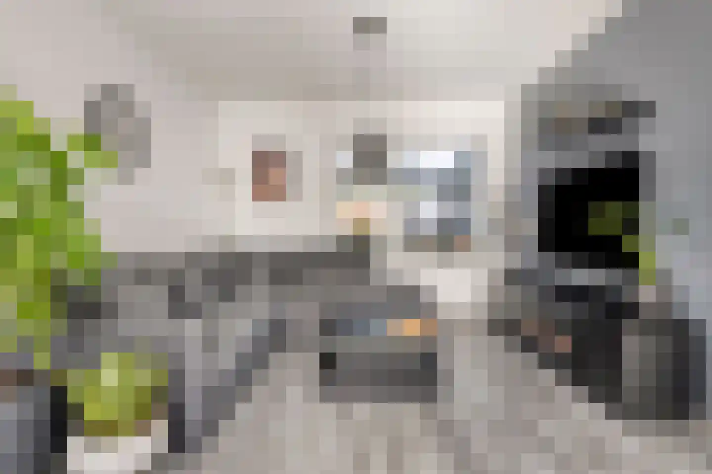 Roompot 31 Hansweert thumbnail 11