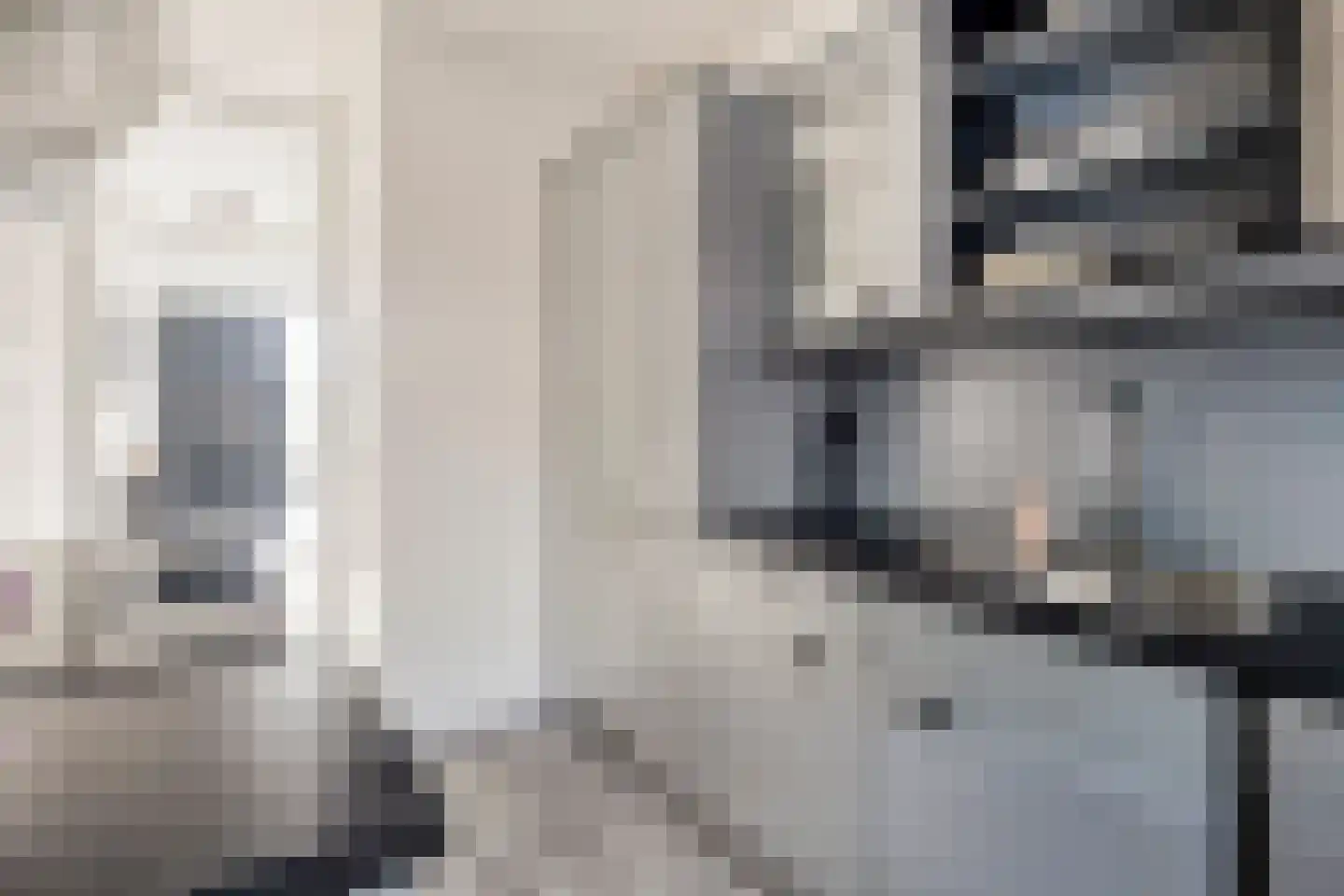 Roompot 31 Hansweert thumbnail 17