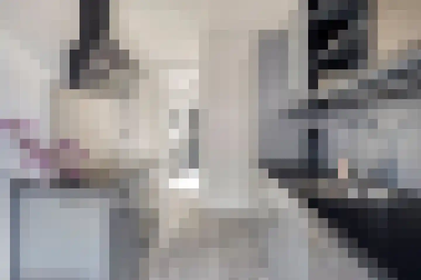 Roompot 31 Hansweert thumbnail 18
