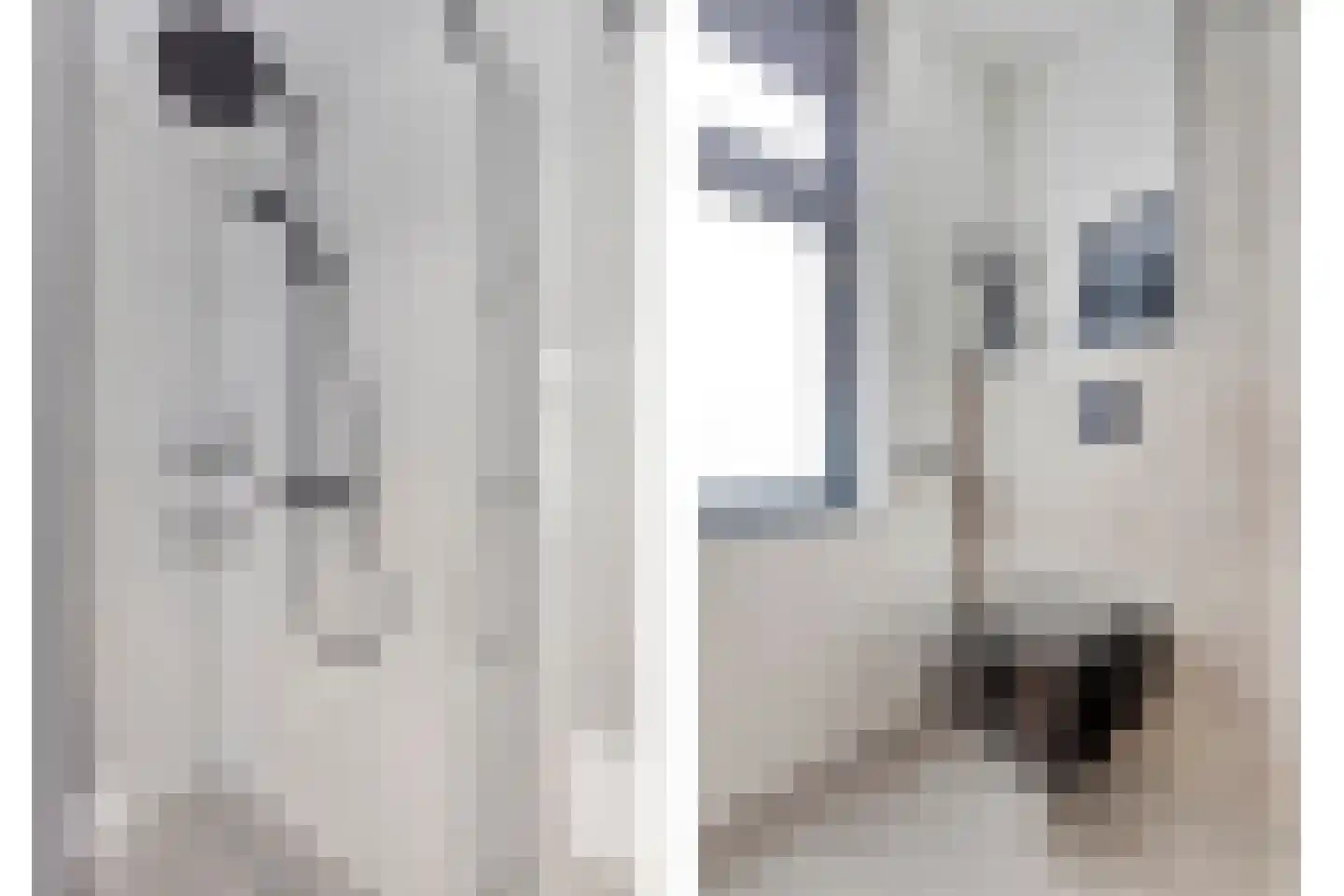 Roompot 31 Hansweert thumbnail 23