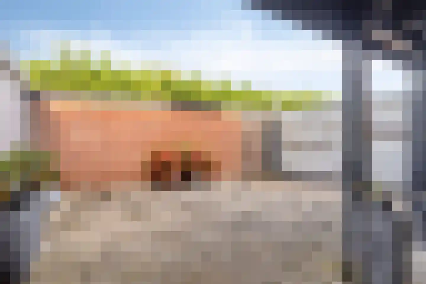 Roompot 31 Hansweert thumbnail 32