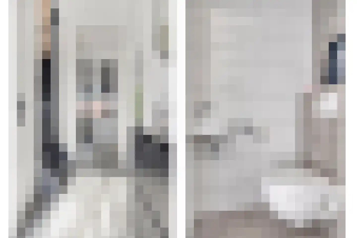 Roompot 31 Hansweert thumbnail 8