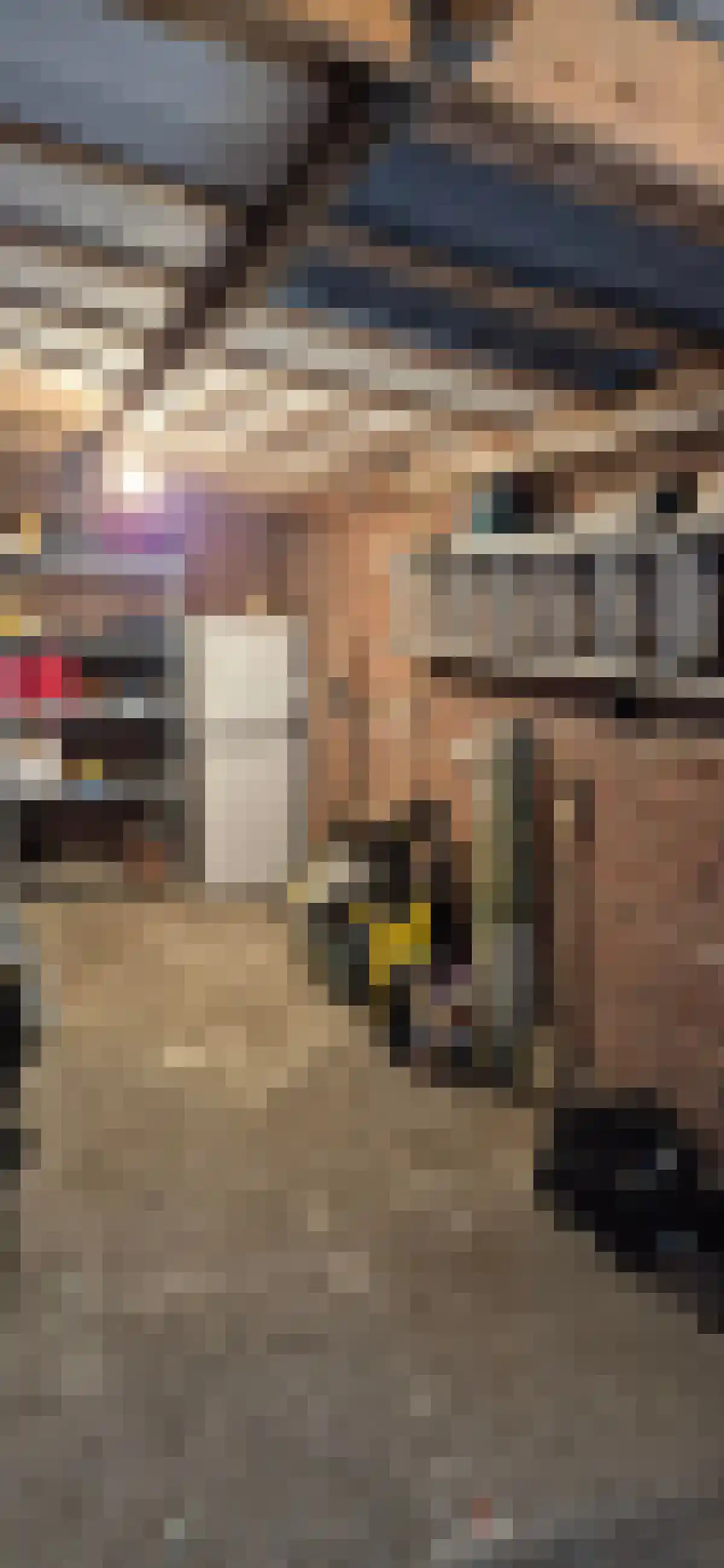 Roompot 51 A Hansweert thumbnail 6