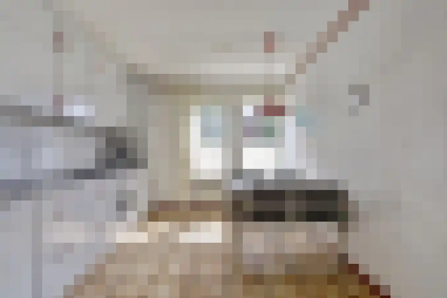 Roompot 9 Arnemuiden thumbnail 11