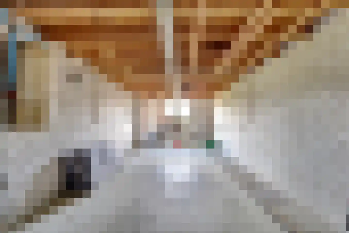 Roompot 9 Arnemuiden thumbnail 30