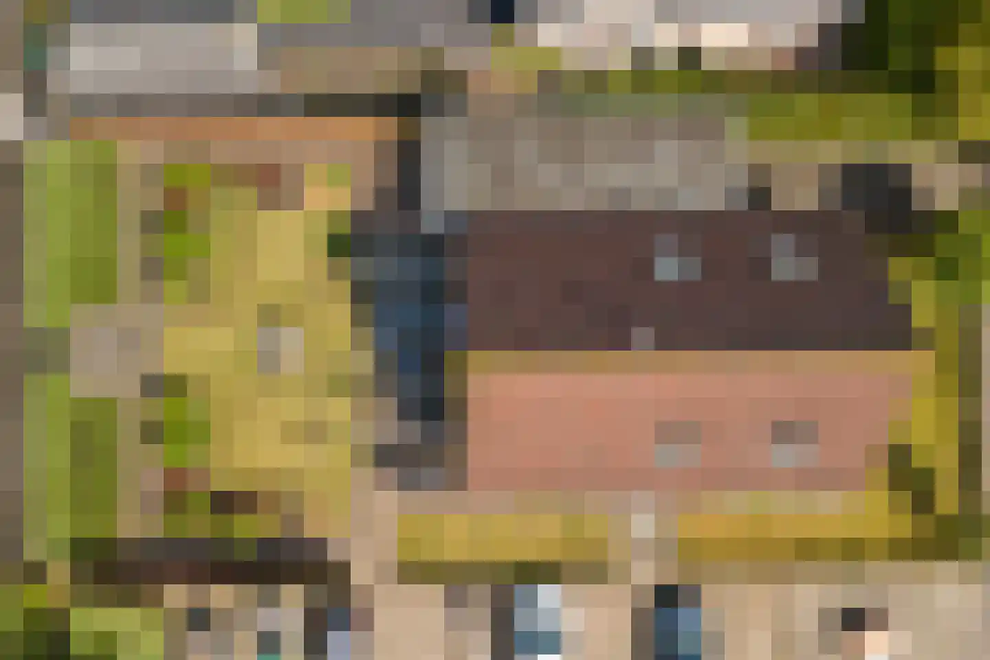 Roompot 9 Arnemuiden thumbnail 38