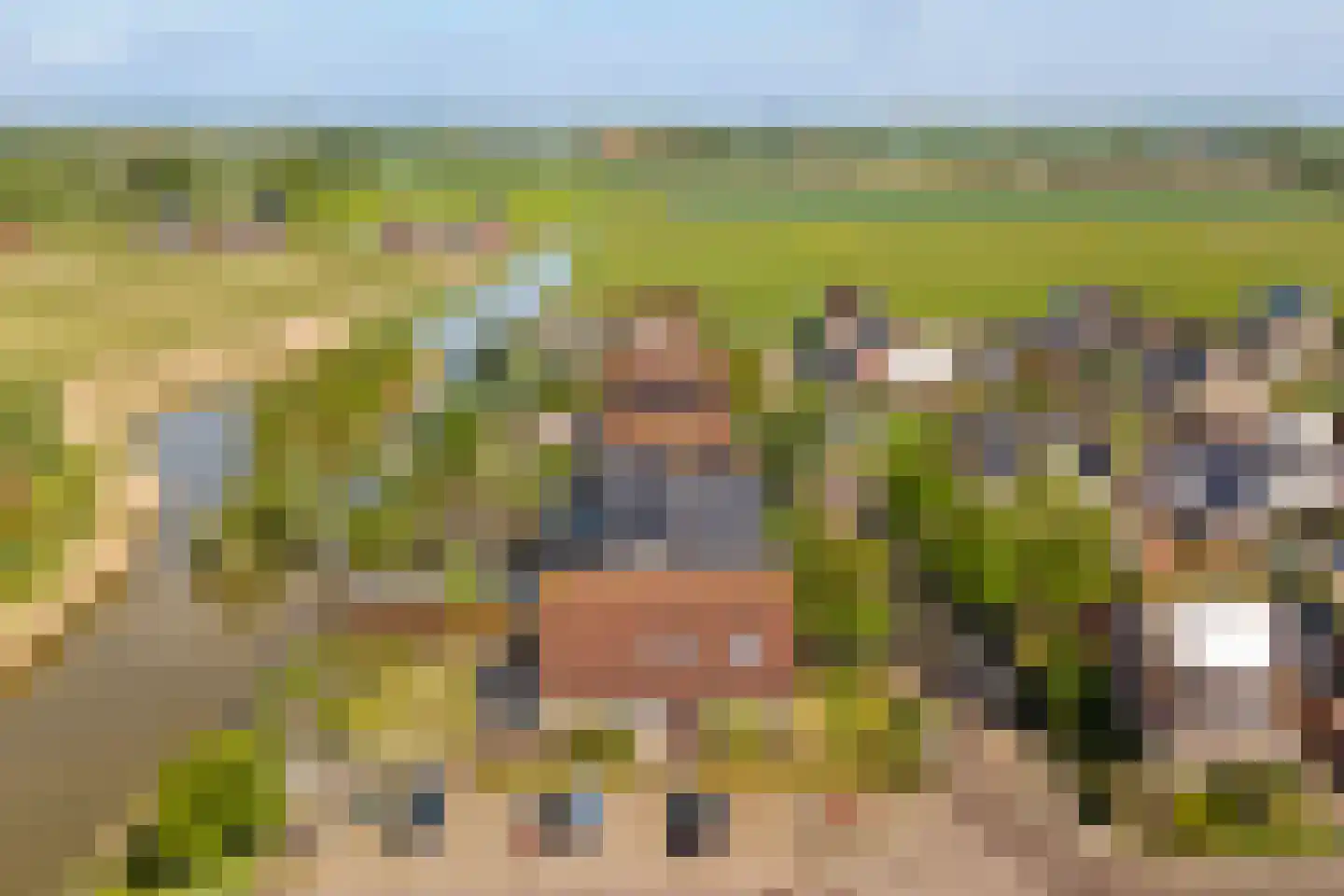 Roompot 9 Arnemuiden thumbnail 4