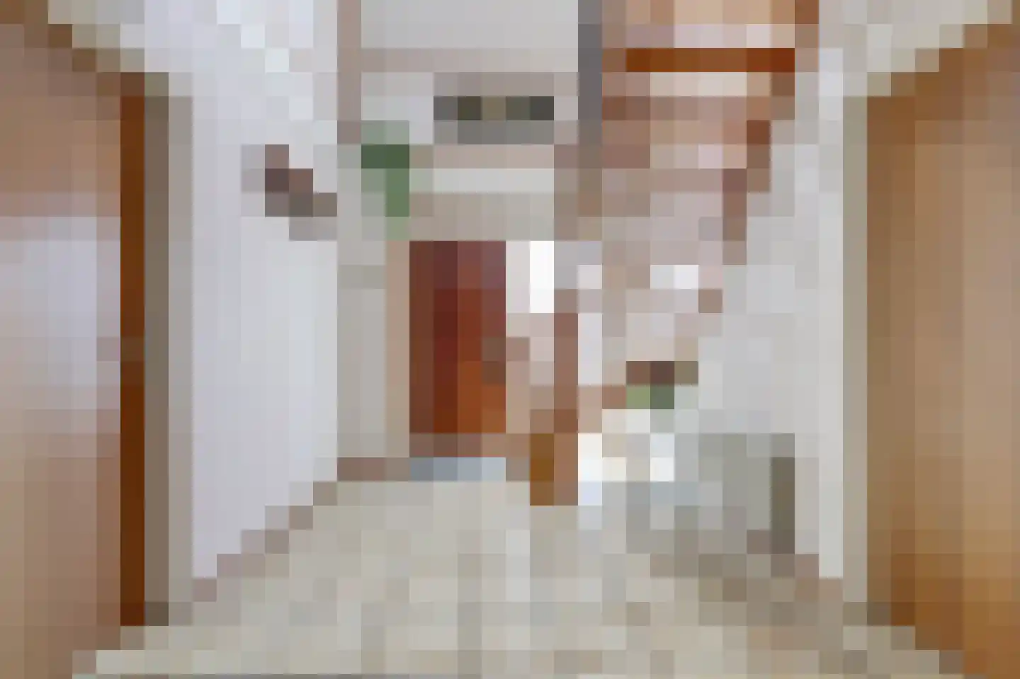 Roompot 9 Arnemuiden thumbnail 5