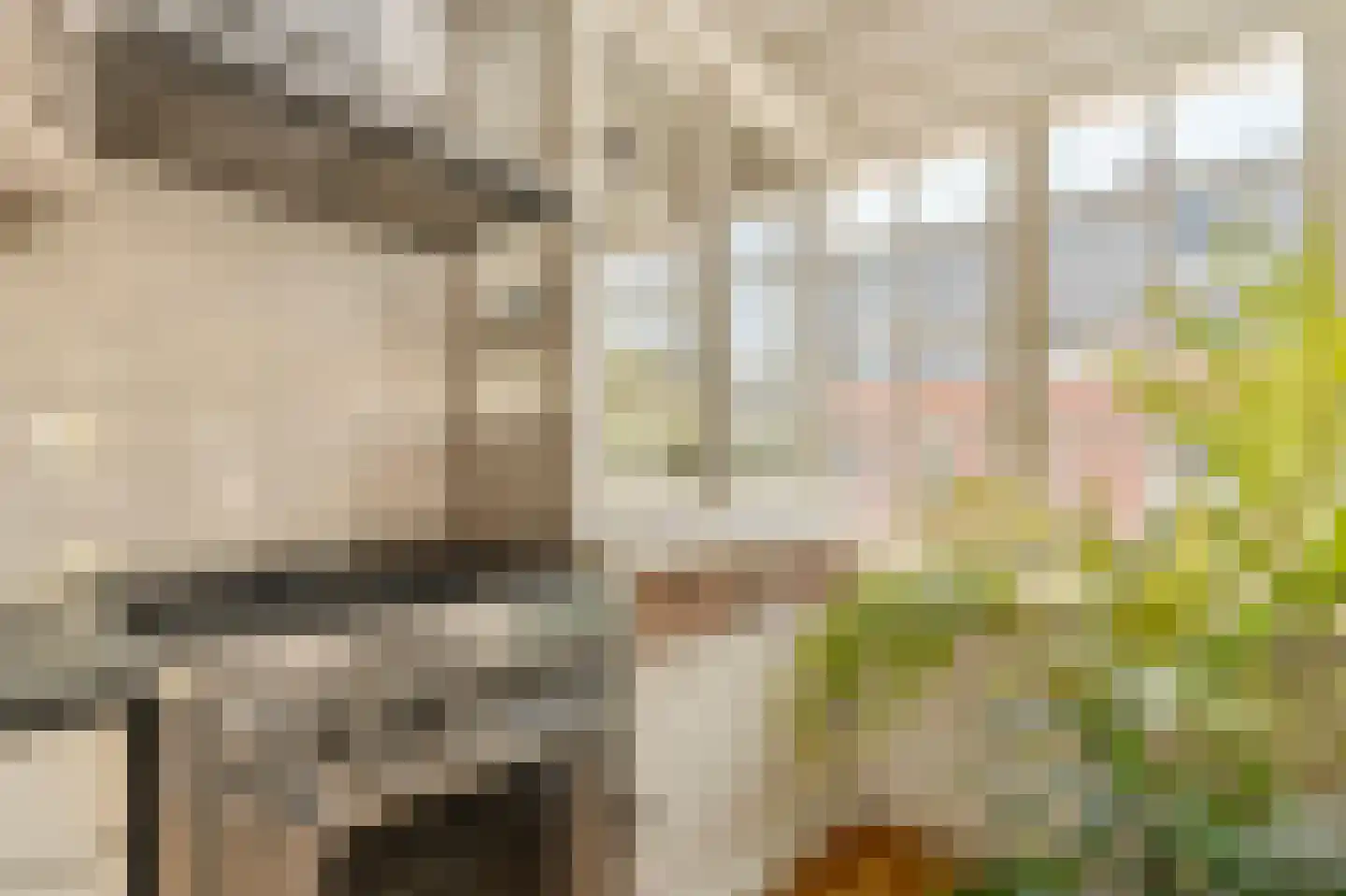 Roompotstraat 1 2 Amsterdam thumbnail 13
