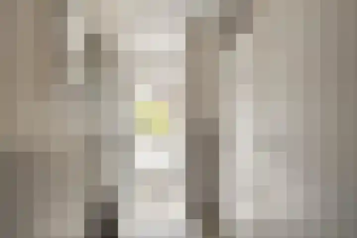 Roompotstraat 28 Den Helder thumbnail 8