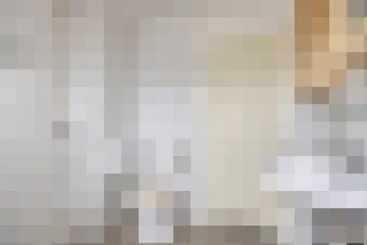 Roompotstraat 31 Zoutelande thumbnail 11
