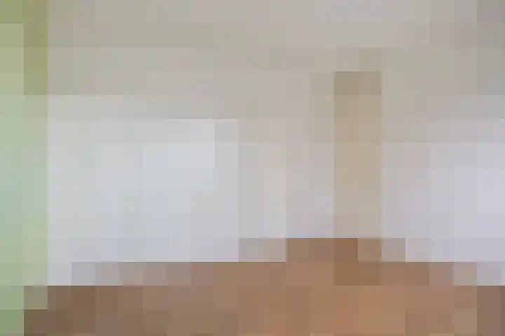 Roompotstraat 31 Zoutelande thumbnail 12