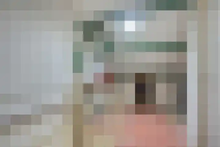 Roompotstraat 31 Zoutelande thumbnail 16