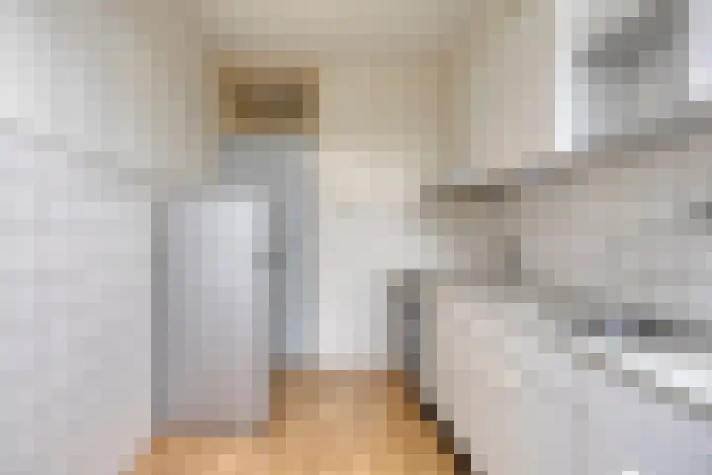 Roompotstraat 31 Zoutelande thumbnail 5
