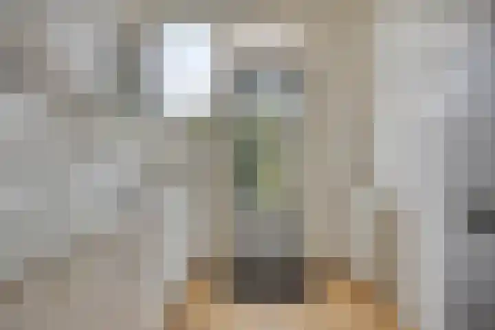 Roompotstraat 31 Zoutelande thumbnail 6