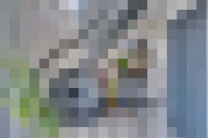 Roompotstraat 43 Lewedorp thumbnail 16