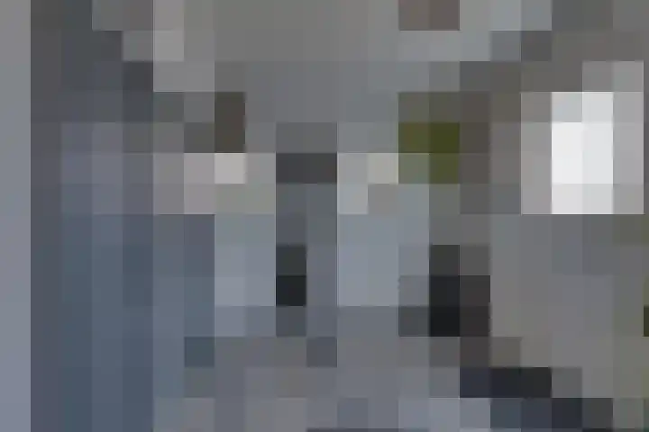 Roompotstraat 43 Lewedorp thumbnail 18
