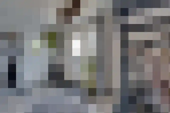 Roompotstraat 43 Lewedorp thumbnail 19
