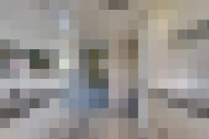 Roompotstraat 43 Lewedorp thumbnail 26