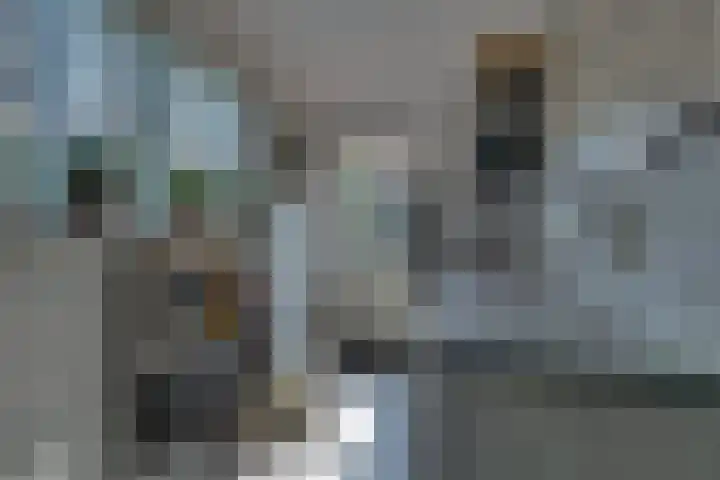 Roompotstraat 43 Lewedorp thumbnail 39