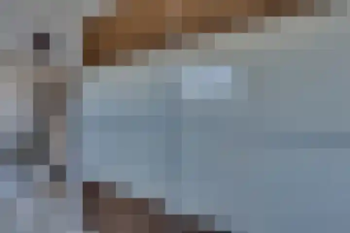 Roompotstraat 43 Lewedorp thumbnail 51