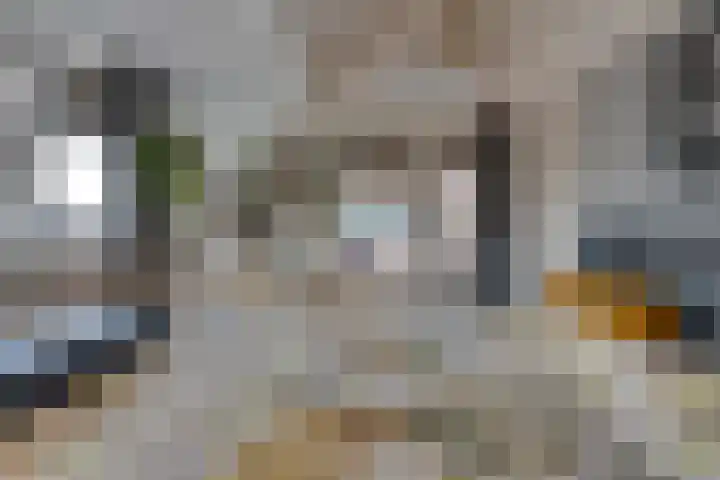 Roompotstraat 43 Lewedorp thumbnail 58