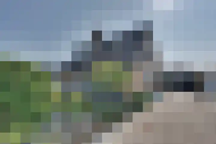 Roompotstraat 43 Lewedorp thumbnail 7