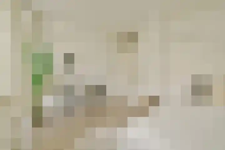 Roompotstraat 6 2 Amsterdam thumbnail 18