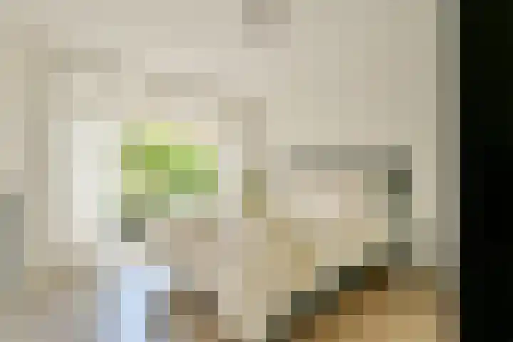 Roompotstraat 6 2 Amsterdam thumbnail 4