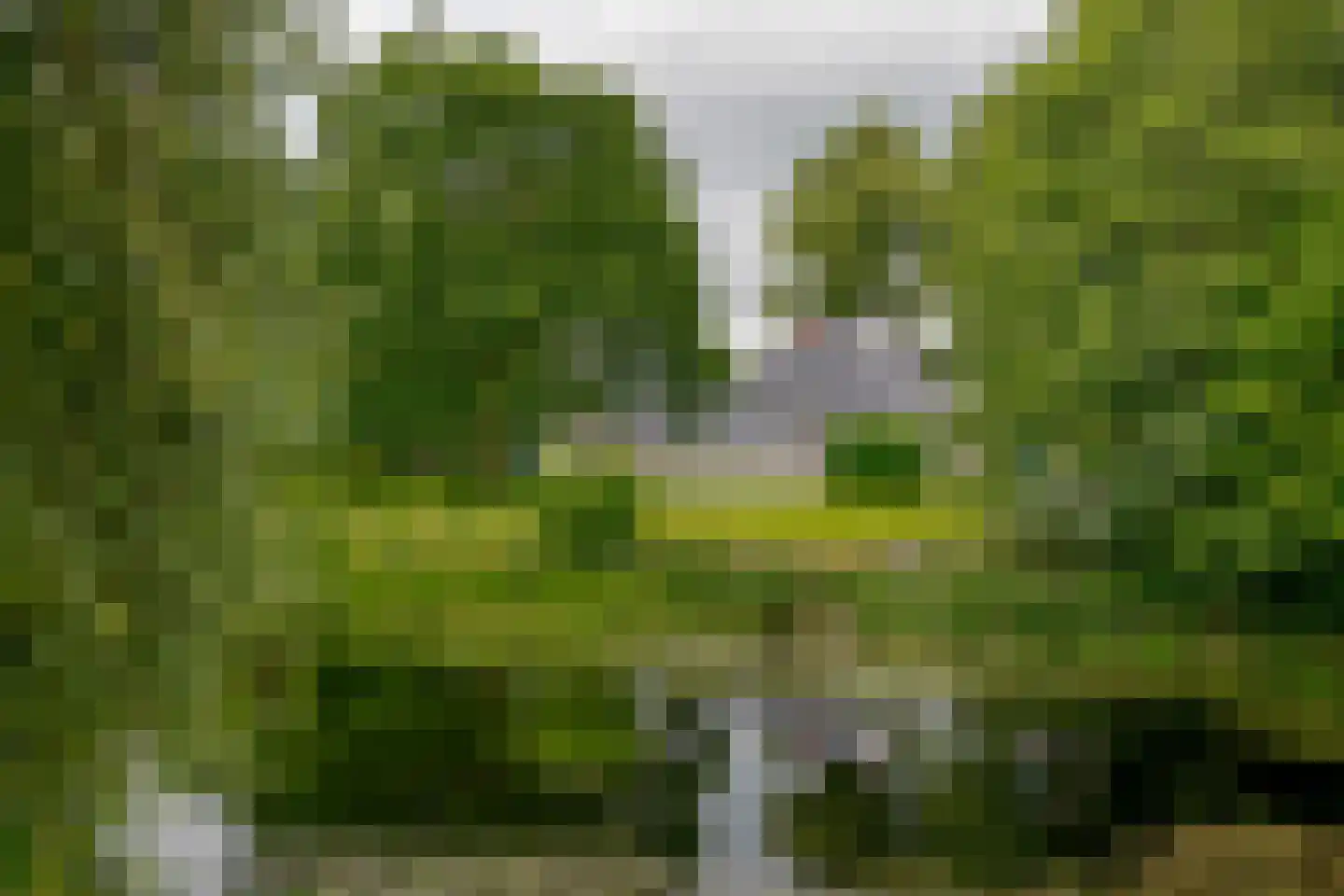 Roomsterweg 17 Leek thumbnail 10