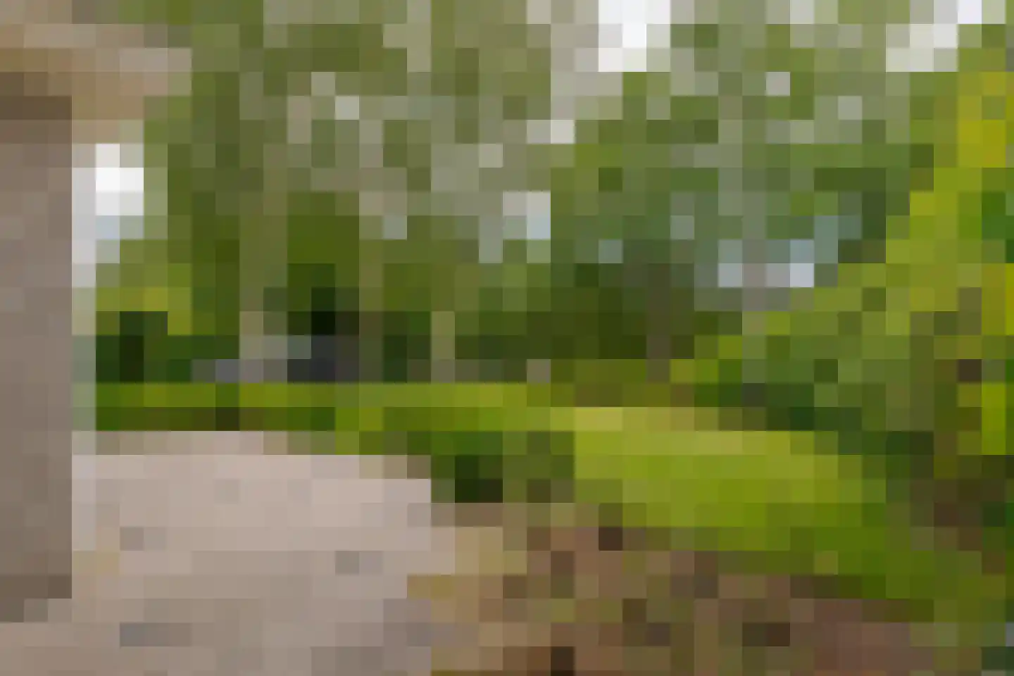Roomsterweg 17 Leek thumbnail 27