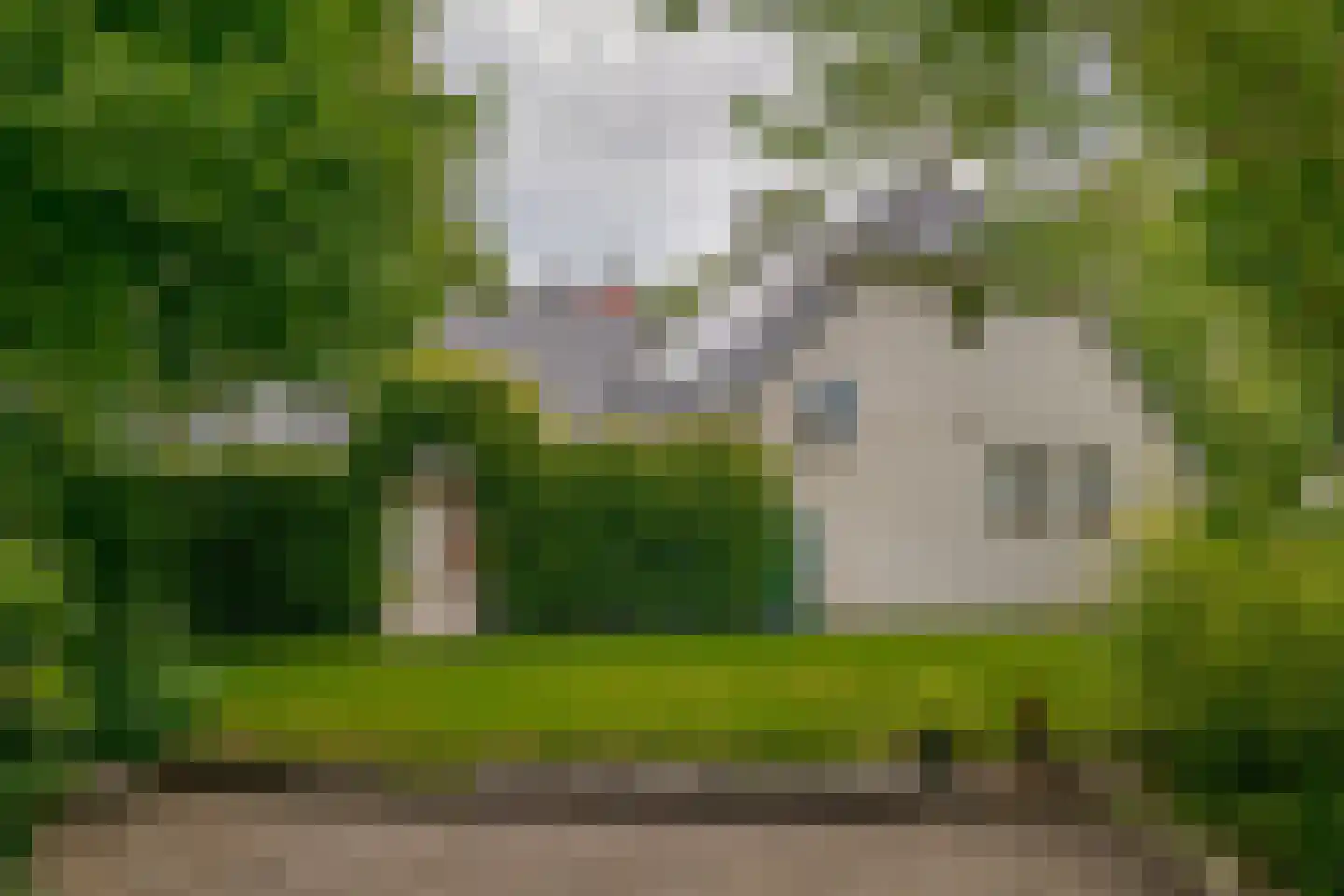 Roomsterweg 17 Leek thumbnail 31