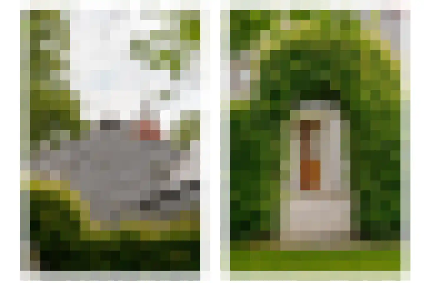 Roomsterweg 17 Leek thumbnail 32